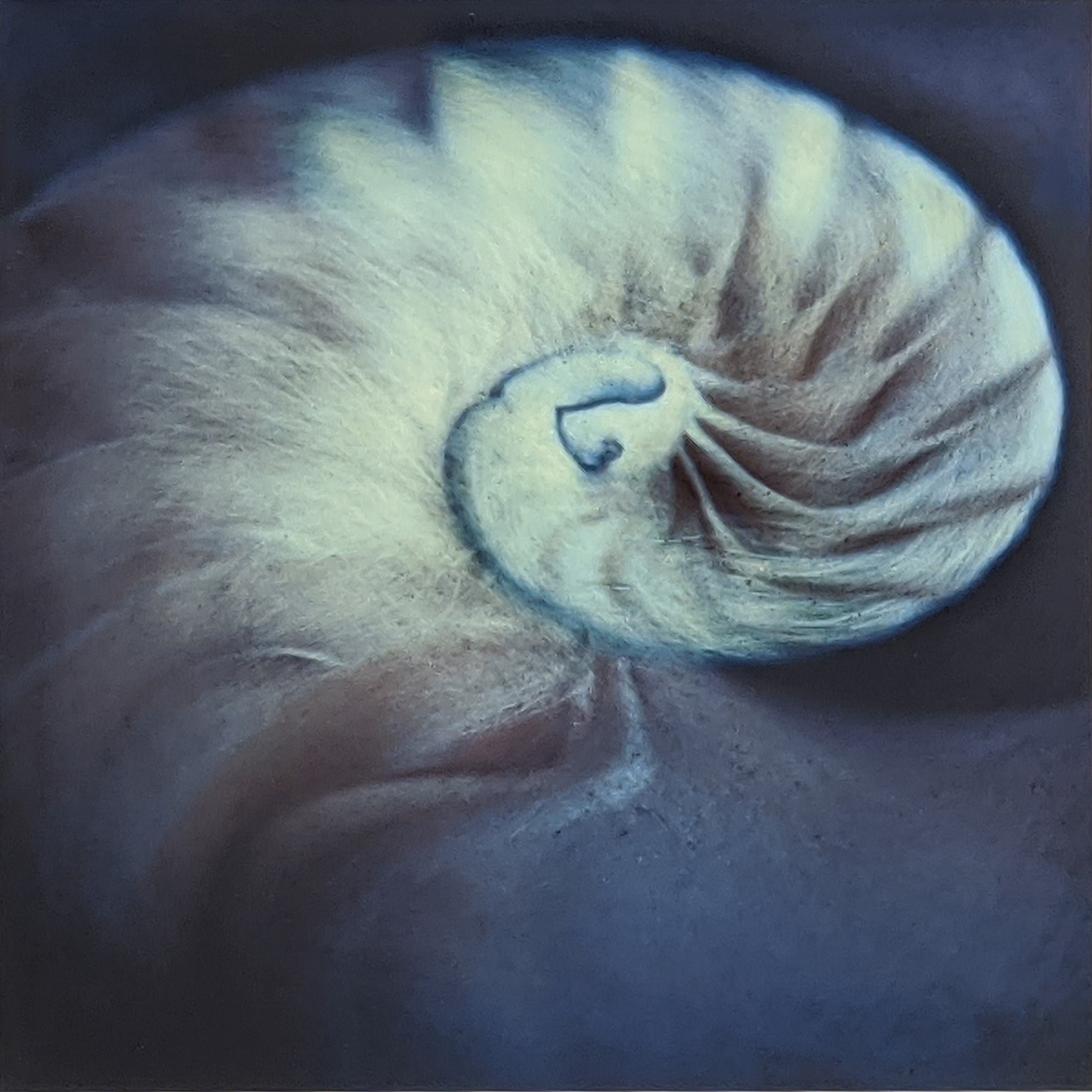Nautilus, Stephen Seko
