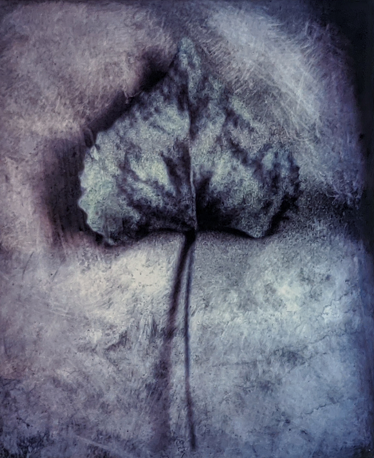 Leaf, Stephen Seko