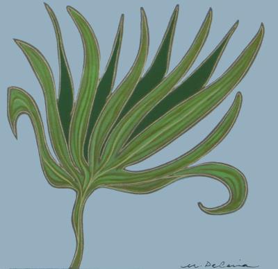 Small Frond