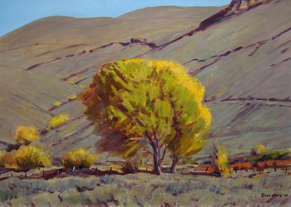 <br><b>Cottonwood at Carson Valley</b>