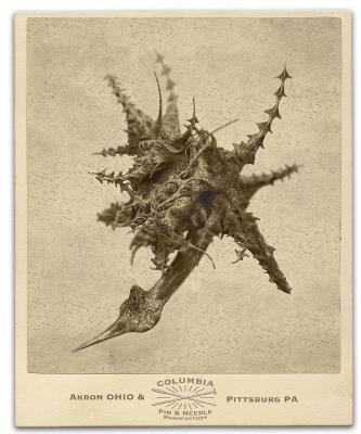 <br><b>Anomaly Specimen No.2</b>