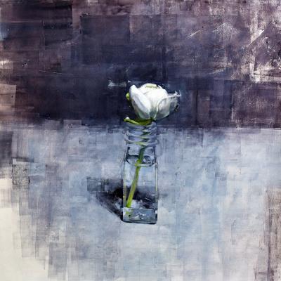 <br><b>Ranuculus</b>