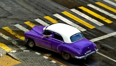 Cool Purple in Cross Walk