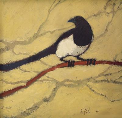 <br><b>Morning Magpie</b>