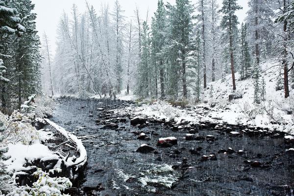 Fall Snow on the Hayden