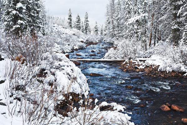 Winter Begins on the Hayden Fork