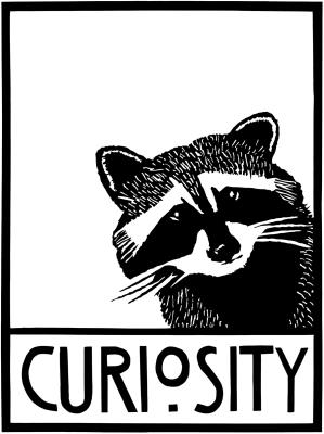<br><b>Curiosity</b>